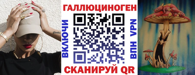 магазин продажи наркотиков  Ермолино  мега маркетплейс  Галлюциногенные грибы Psilocybine cubensis 
